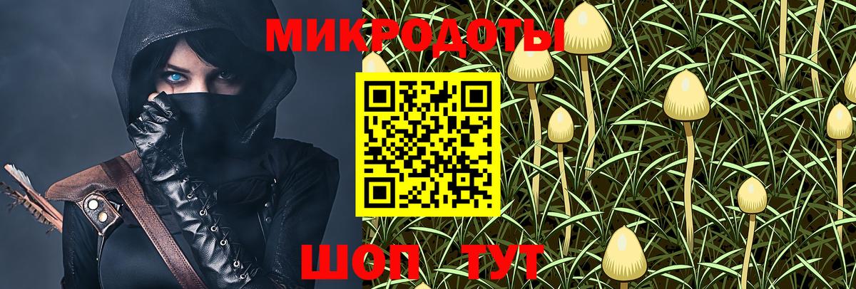 Астрахань  Псилоцибиновые грибы Cubensis  Вход с VPN  Галлюциногенные грибы мицелий 