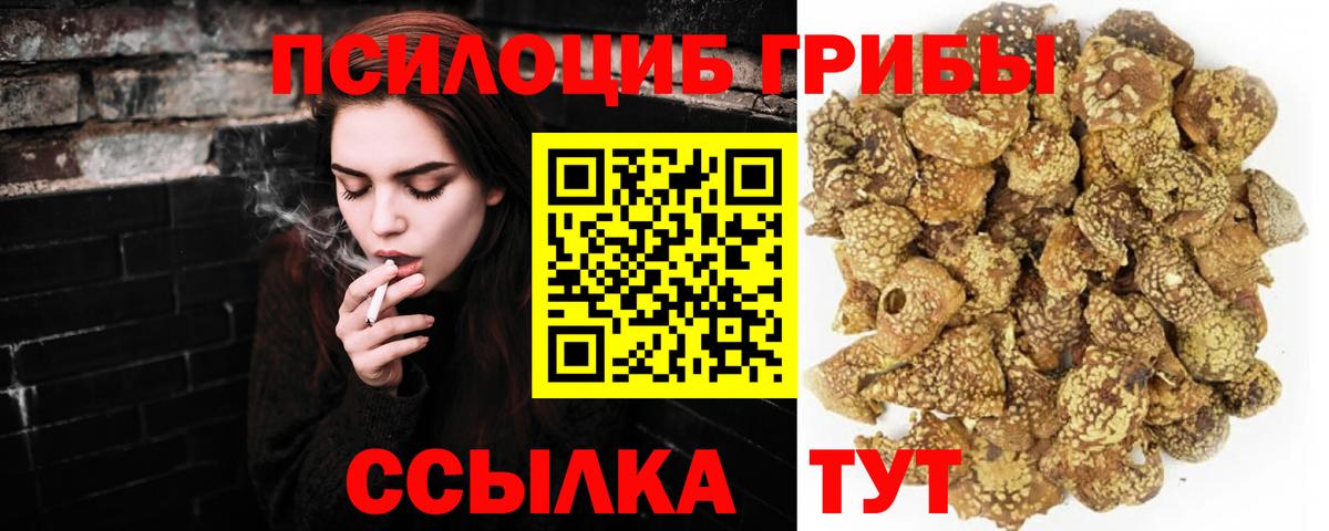 Галлюциногенные грибы Psilocybine cubensis Астрахань
